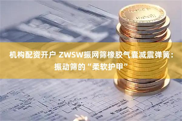 机构配资开户 ZWSW振网筛橡胶气囊减震弹簧：振动筛的“柔软护甲”