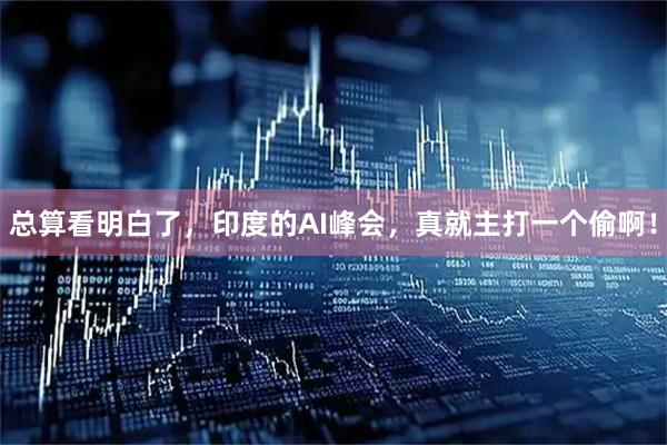 总算看明白了，印度的AI峰会，真就主打一个偷啊！