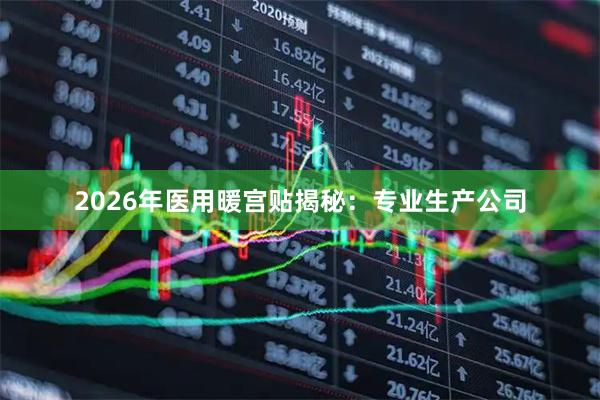 2026年医用暖宫贴揭秘：专业生产公司