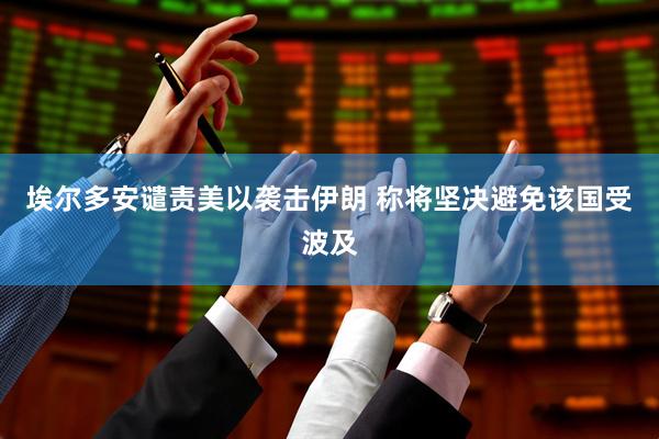 埃尔多安谴责美以袭击伊朗 称将坚决避免该国受波及