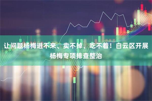 让问题杨梅进不来、卖不掉、吃不着！白云区开展杨梅专项排查整治