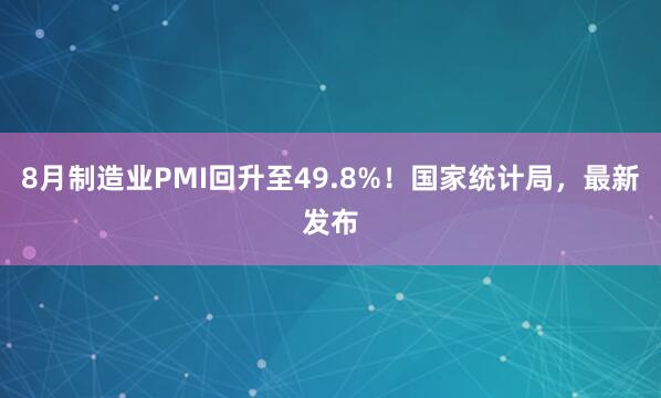 8月制造业PMI回升至49.8%！国家统计局，最新发布